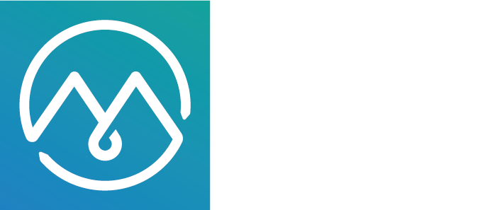 IDM 