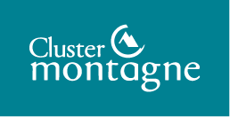 IDM x Cluster Montagne