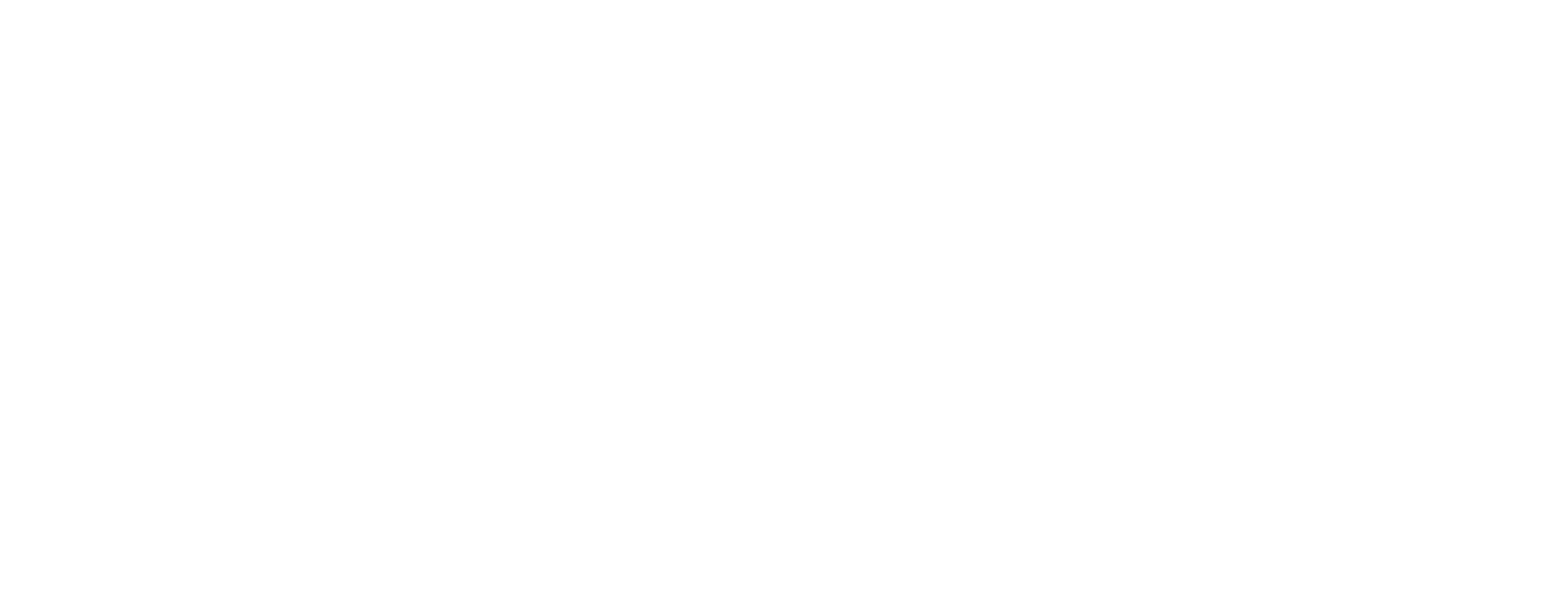 LOGO IN WHITE.png