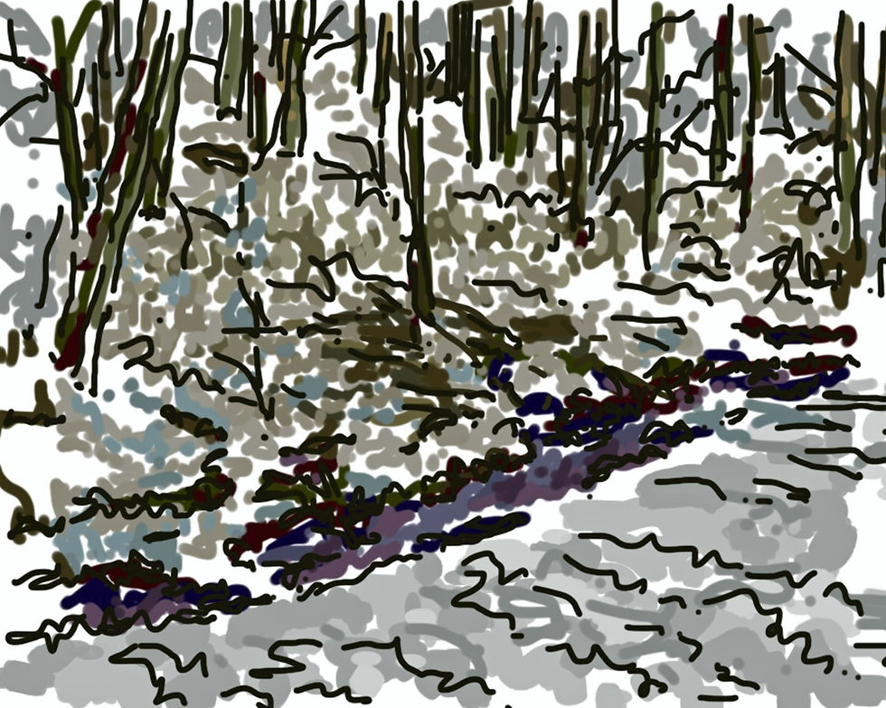 WinterCreek-CarpenterWoods-2e-sca