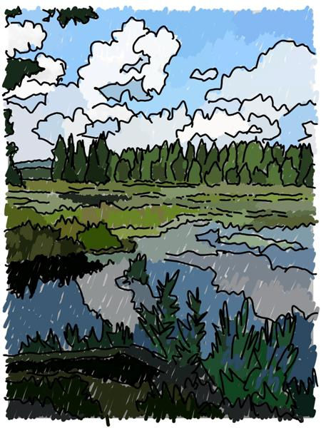 Pond Marsh and Sky