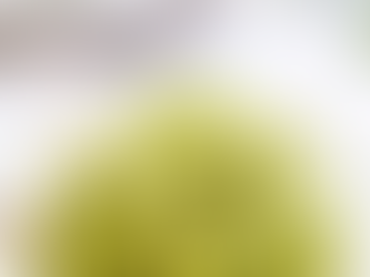 Zucchini Noodles with Avocado pesto