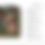 Thumbnail: The Rose in Poetry
