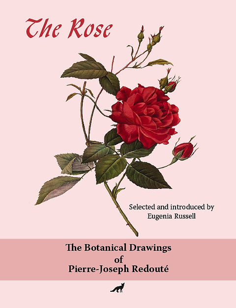 The Rose: the botanical drawings of Pierre-Joseph Redouté | Lone