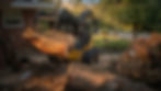 Storm Damage Tree Services