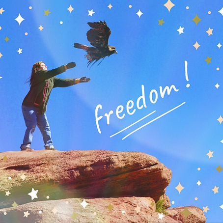 Taking flight in 2019