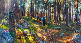 P1016451-01.jpeg