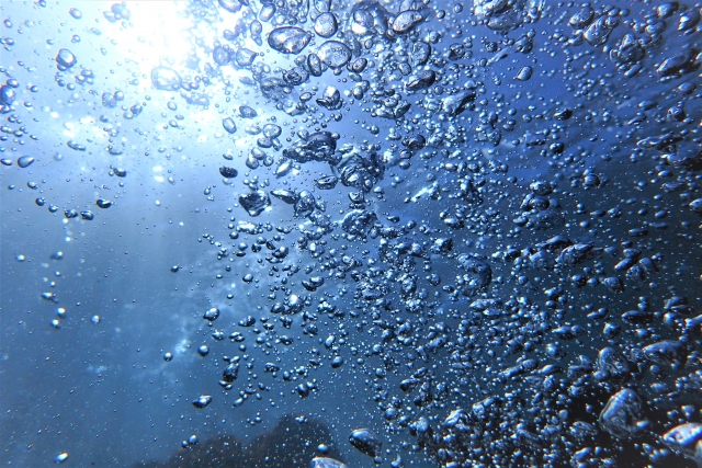 水中撮影
