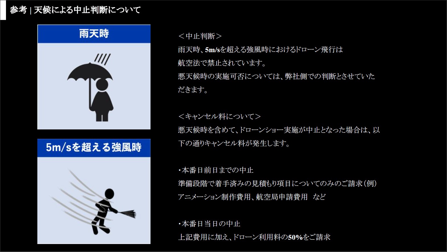 ドローンショー 全体像