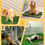 Thumbnail: Super Absorbent Dog Grass Pad with Tray, 4-Layer Guard to Stop Leakage/Stink/Me