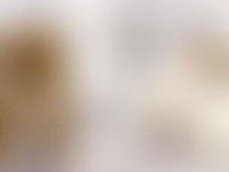 Cavachon vs Cavapoo – What’s the Difference?