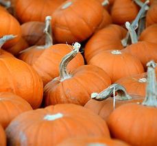 Pumpkins