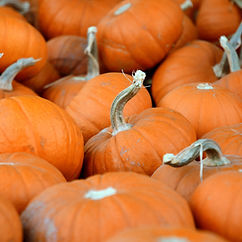 Pumpkins