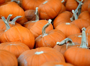 Pumpkins