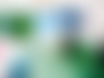 La crisis de los plásticos: cómo enfrentar el problema de la contaminación plástica