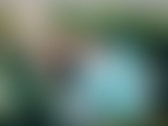 Jardines como espacios terapéuticos: Floreciendo en el bienestar y la sanación