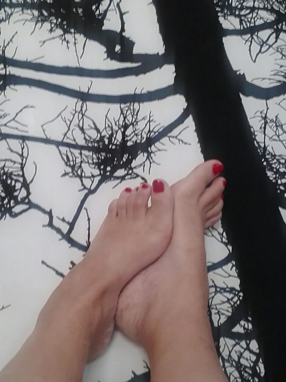 my feet