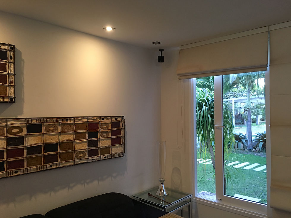 Speaker Surround