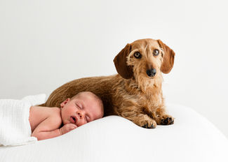 Newborn Baby & Dog - Newborn Photographer Haddenham