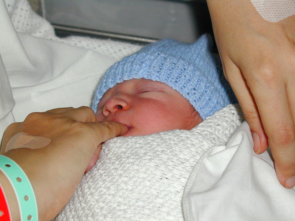 First Photos