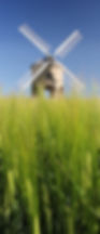 Chesterton Windmill