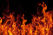 How to Avoid Burnout