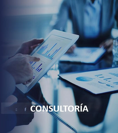 Servicio de Consultoría Especializada