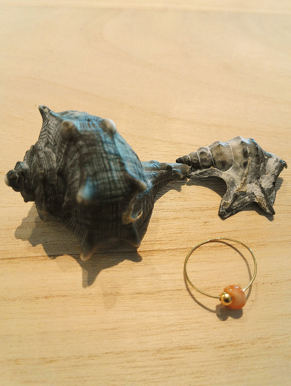 Anneau CLARINI Gold 0,8 mm