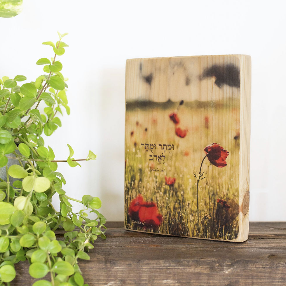 תמונה ממוזערת: ערכת העברת תמונה לעץ