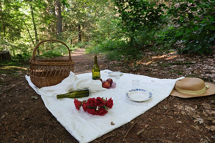 le rappel de la forêt - culture caillou_welterdéborah-30.jpg
