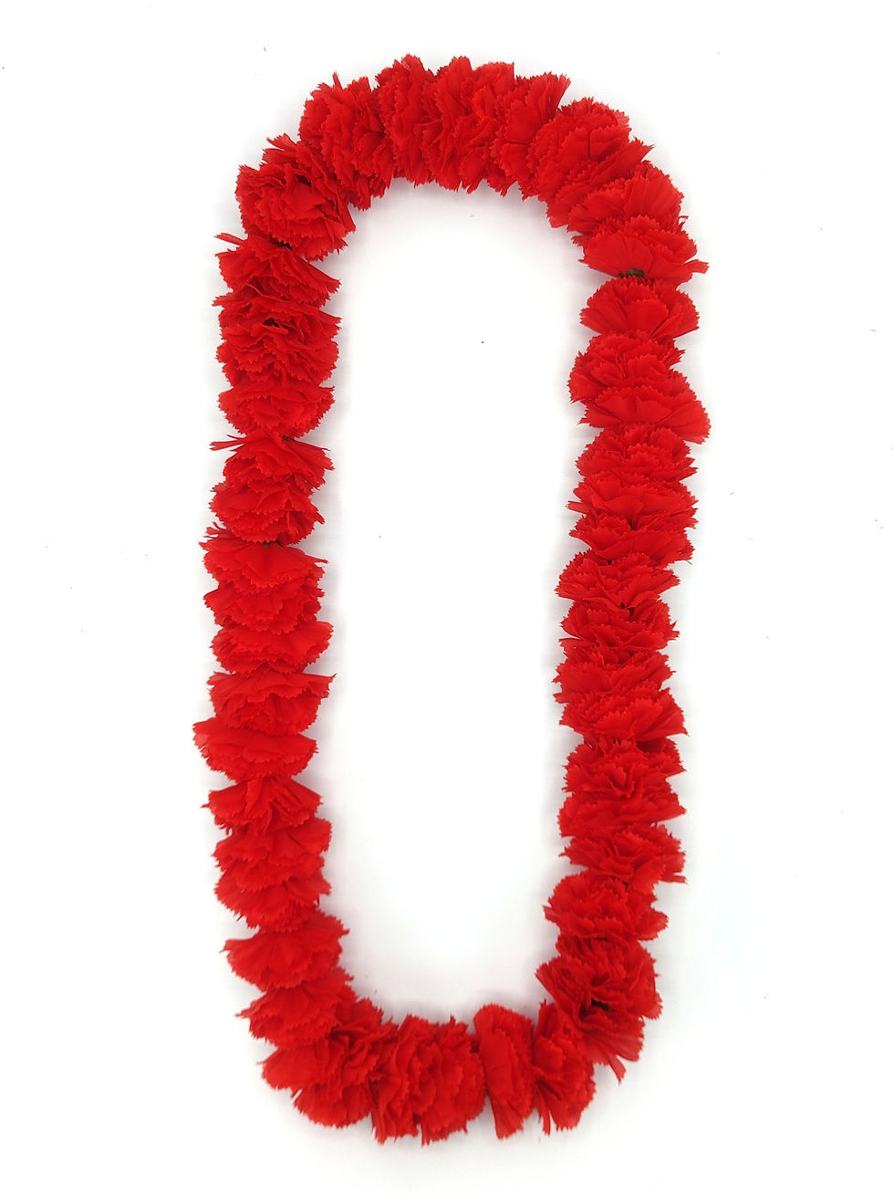 Thumbnail: 'Ula'ula Carnation (Red)