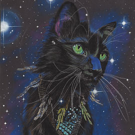 Custom color drawing of a black cat with starry sky