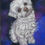 Thumbnail: Colored Custom Pet Portraits