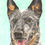 Thumbnail: Colored Custom Pet Portraits
