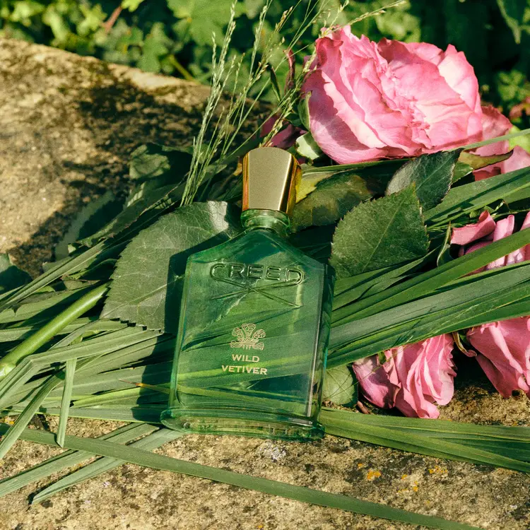 Wild Vetiver
