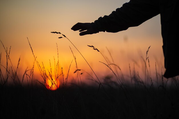 The Process of Death: How to Live This Moment with Love and Awareness