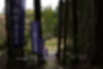 L1070930.jpg