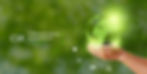 Hands holding a small plant with a globe overlay, symbolizing Peddyl CRM's commitment to corporate social responsibility and sustainable practices.