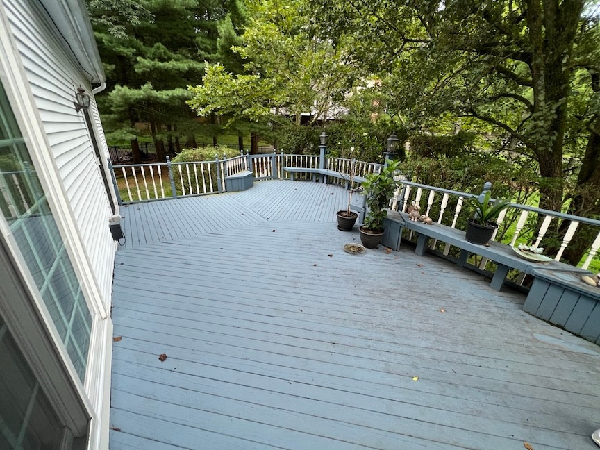 Spacious backyard composite decking with benches and potted plants, nestled among green trees.