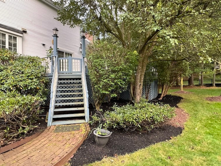 Landscaped garden leading to blue wooden stairs in a backyard designed.