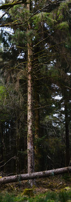 DSC_04322.JPG