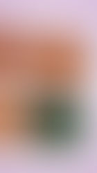 Germinação de sementes