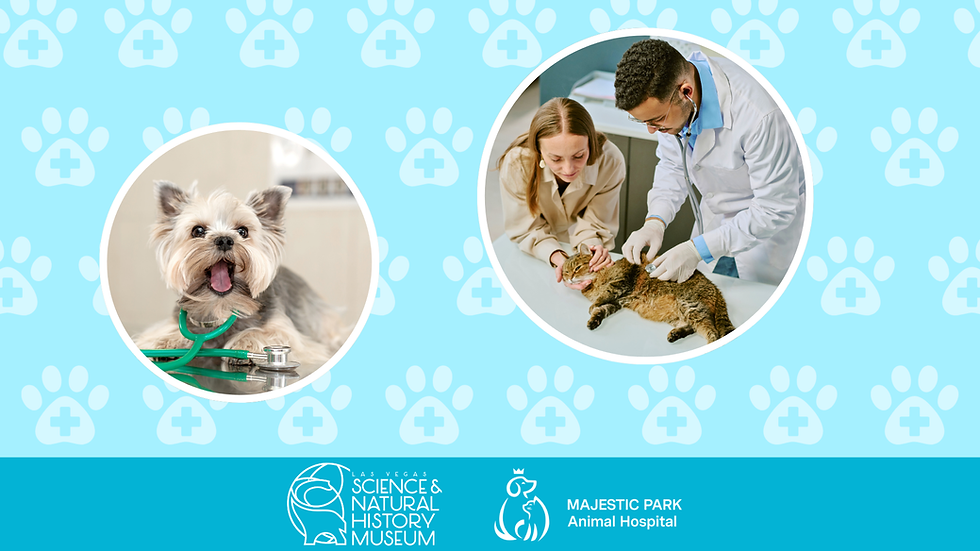 Veterinary Wellness Checks Workshop