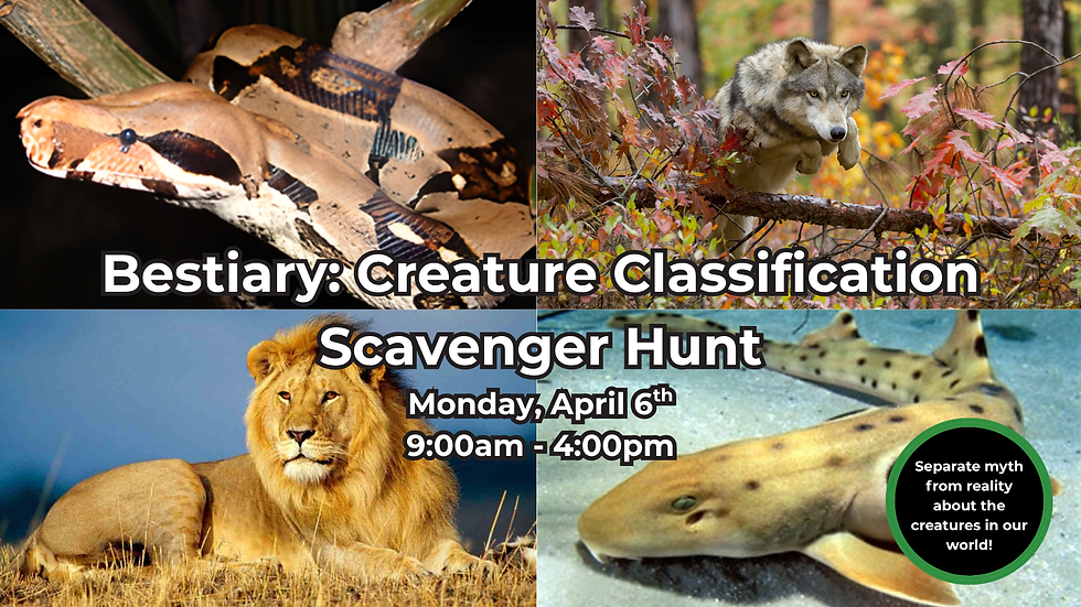 Bestiary: Creature Classification Scavenger Hunt