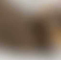 Two guinea pigs, Concha and Flan, snuggle close together on a white surface, with the Las Vegas Science & Natural History Museum logo in the lower left corner and the Giving Tuesday logo in the lower right corner.