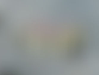 I want to thank you for your service.