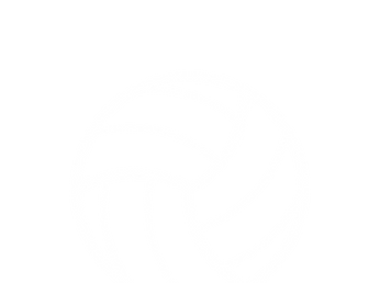 noun_netball_32383.png