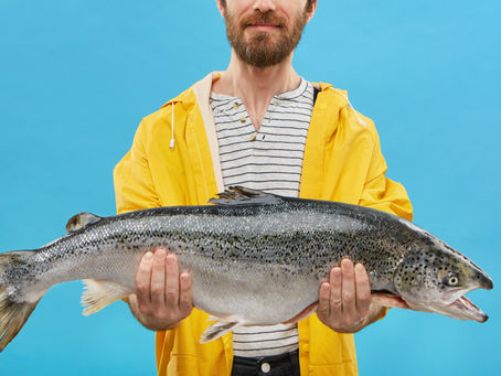 Scottish Salmon: Scotland’s Iconic Premium Export