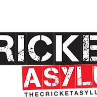 www.thecricketasylum.co.uk