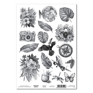 Acetate WEB FILE_TROPIC.jpg